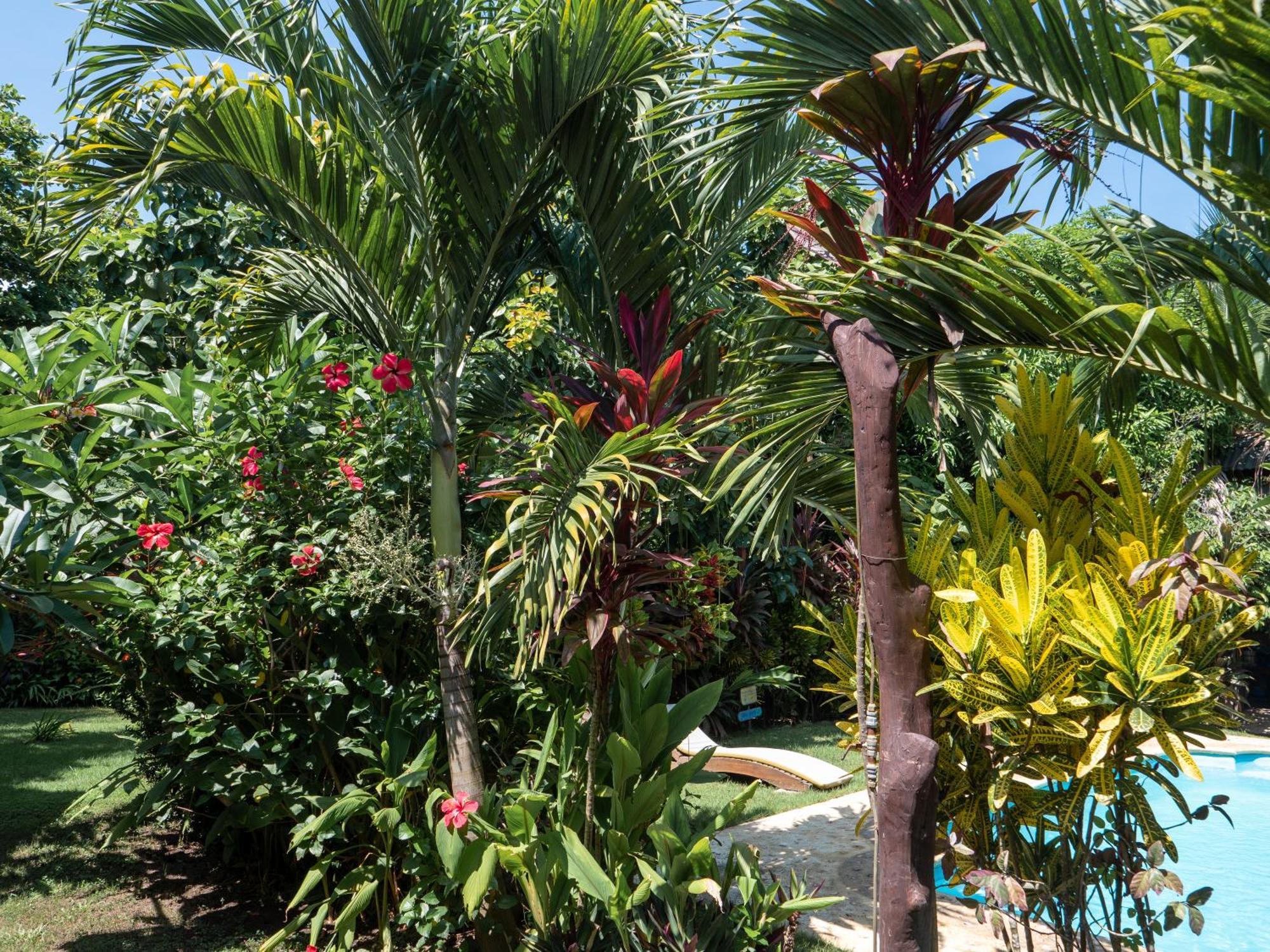 Nuba Boutique Hostel بالومينو المظهر الخارجي الصورة