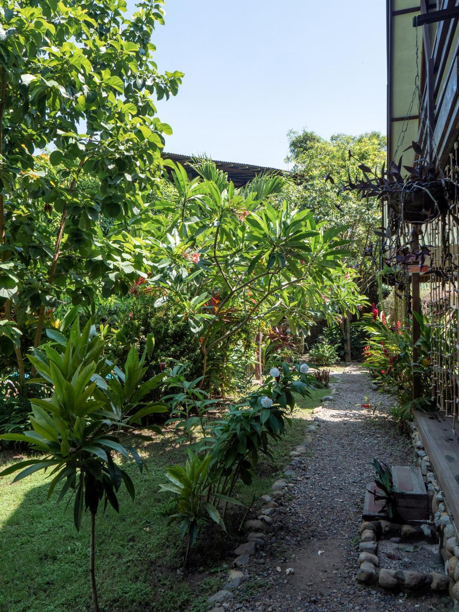 Nuba Boutique Hostel بالومينو المظهر الخارجي الصورة