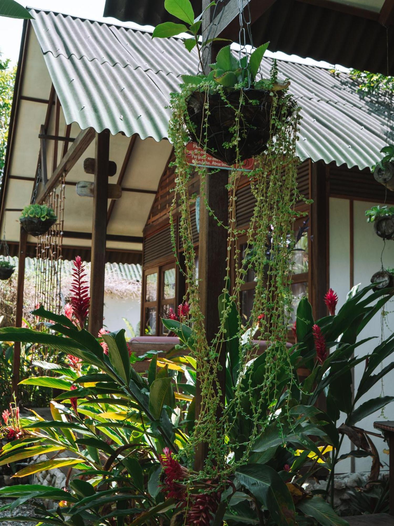 Nuba Boutique Hostel بالومينو المظهر الخارجي الصورة