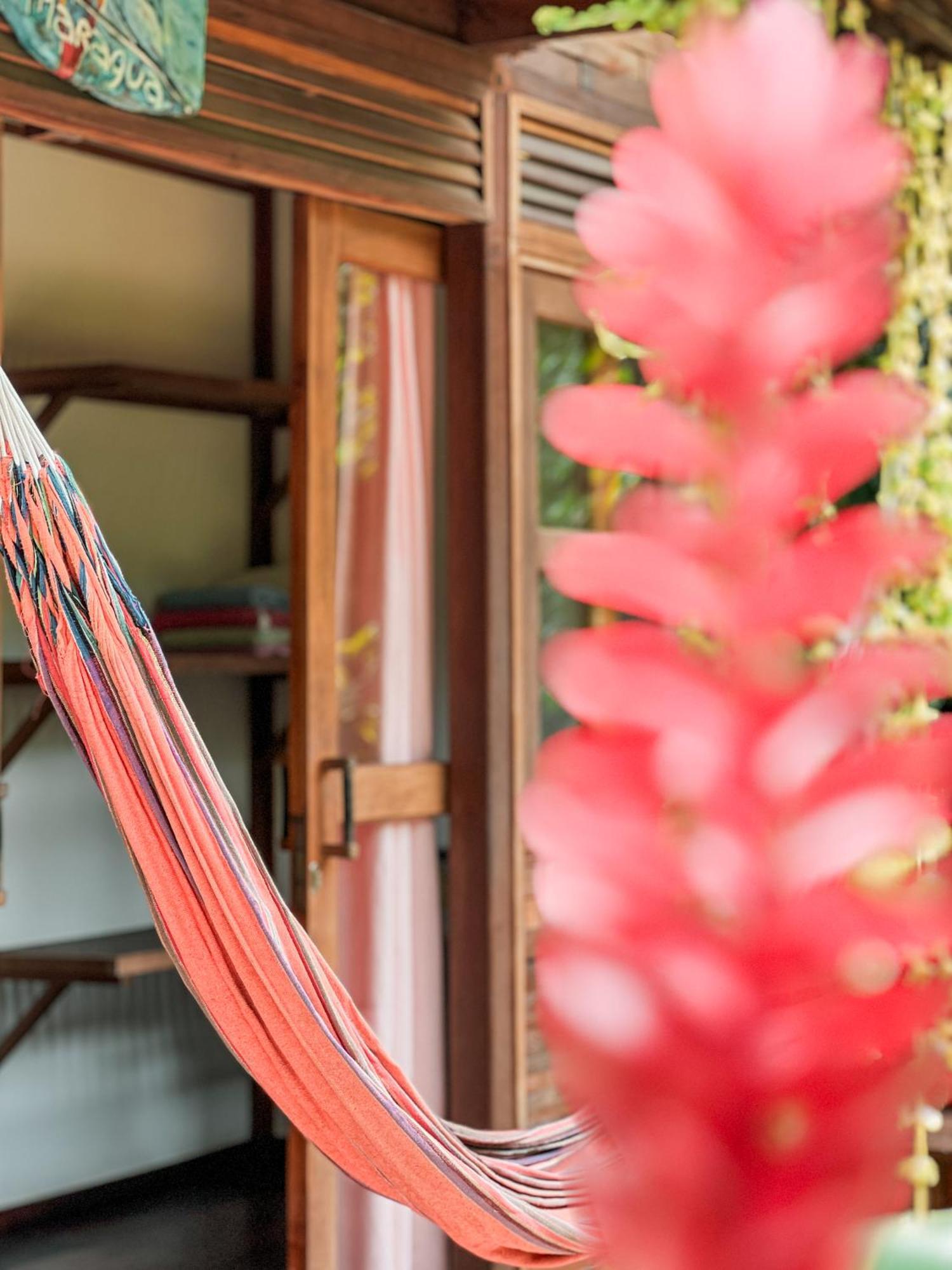 Nuba Boutique Hostel بالومينو المظهر الخارجي الصورة