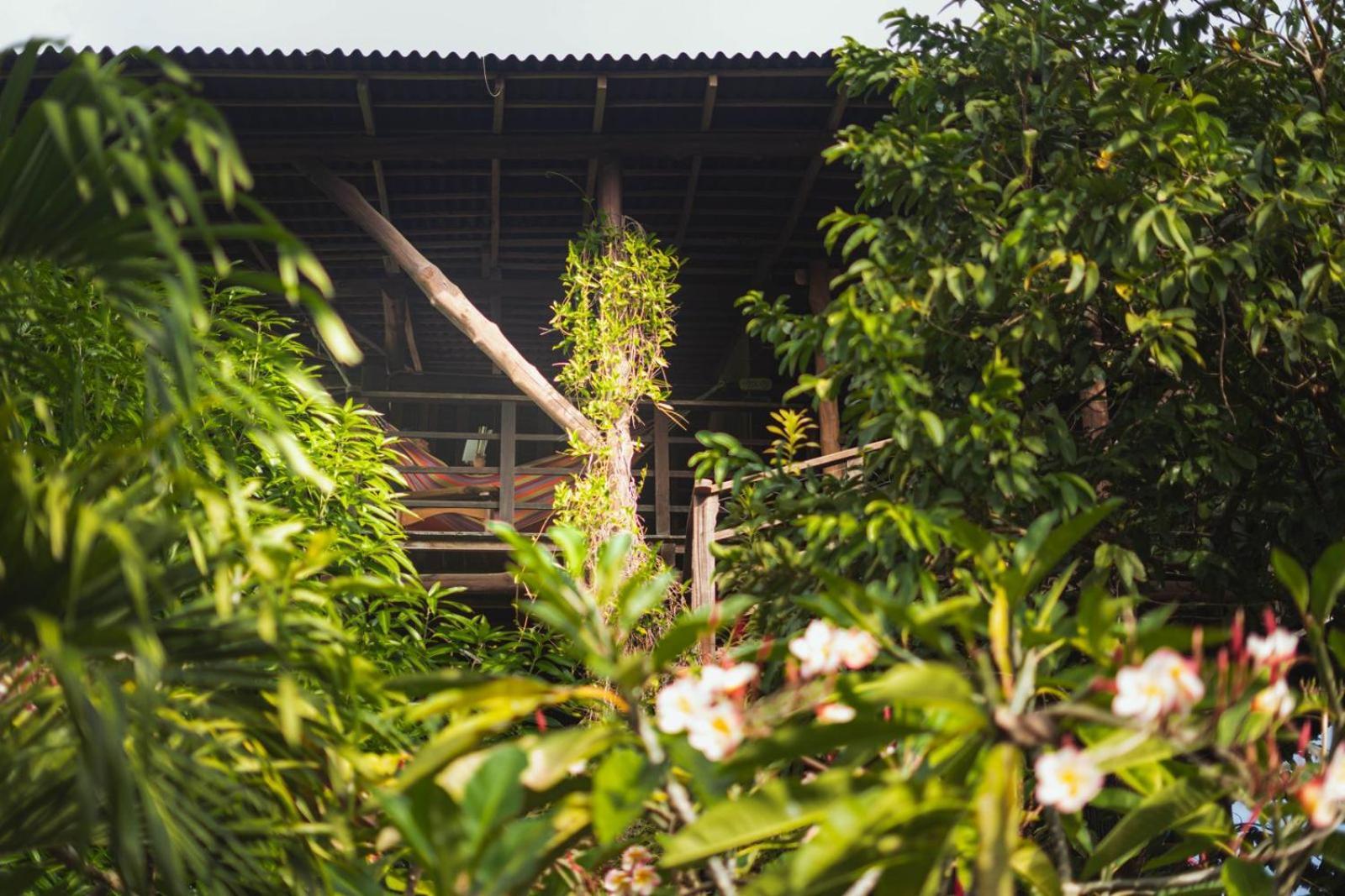 Nuba Boutique Hostel بالومينو المظهر الخارجي الصورة